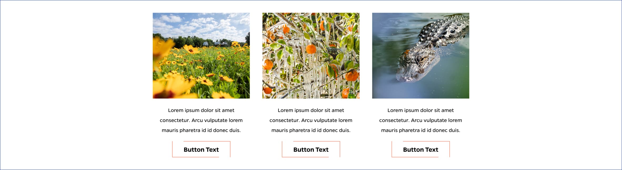 Cards with text and image